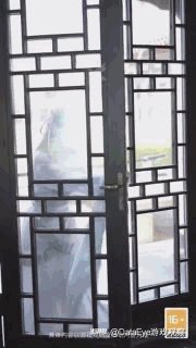 秋虫子天刀ol同人作品赏析 血衣楼之雀殇